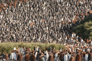 Klik hier voor meer...